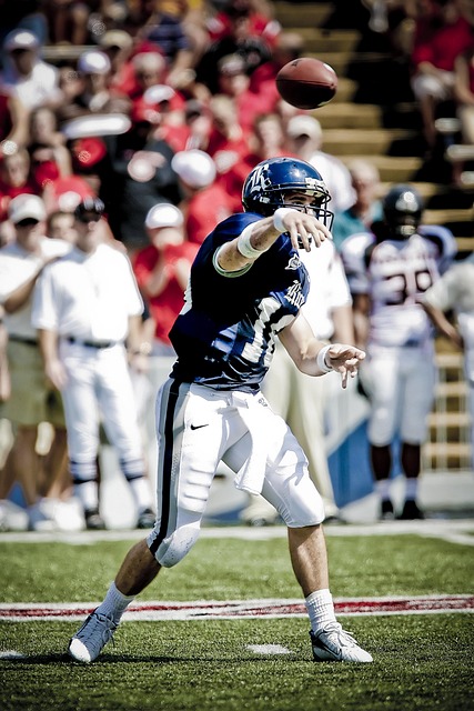 成都世运会 成都世运会