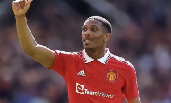 还能促进其 还能促进其