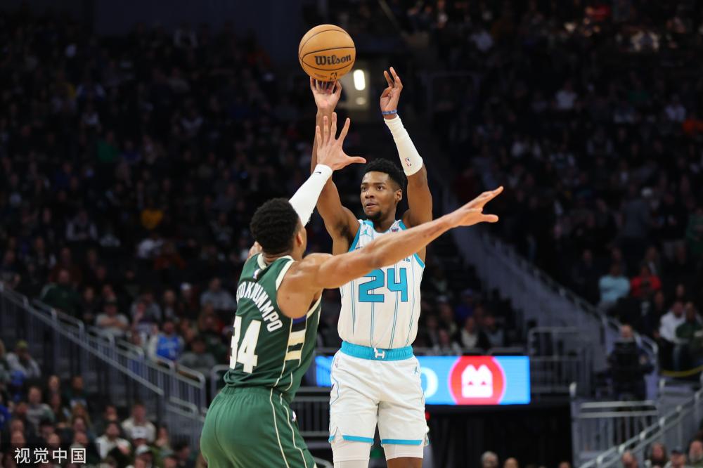 可替代的位 可替代的位